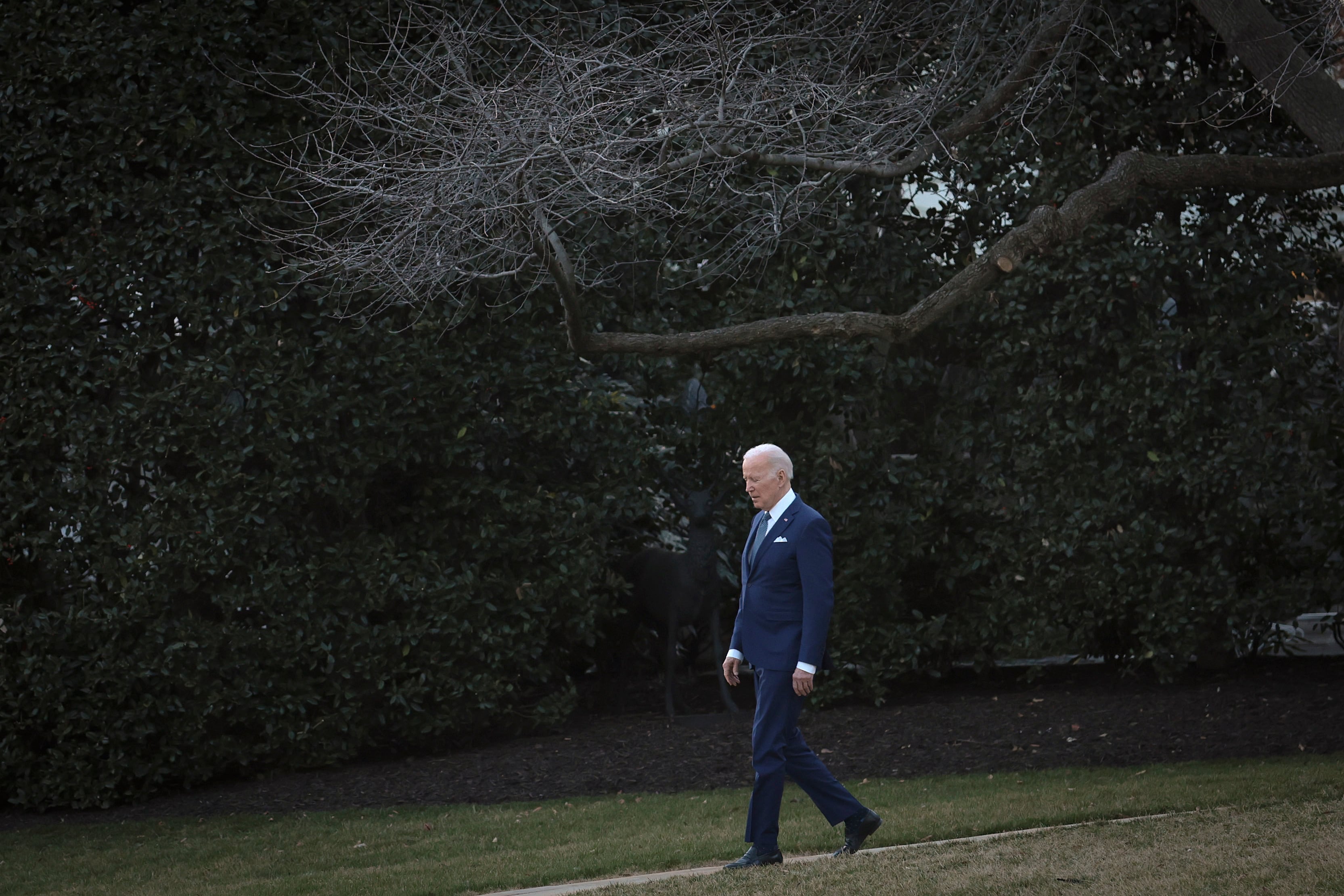 President Biden walks on a path outside of the White House, a tree branch hanging over his head.