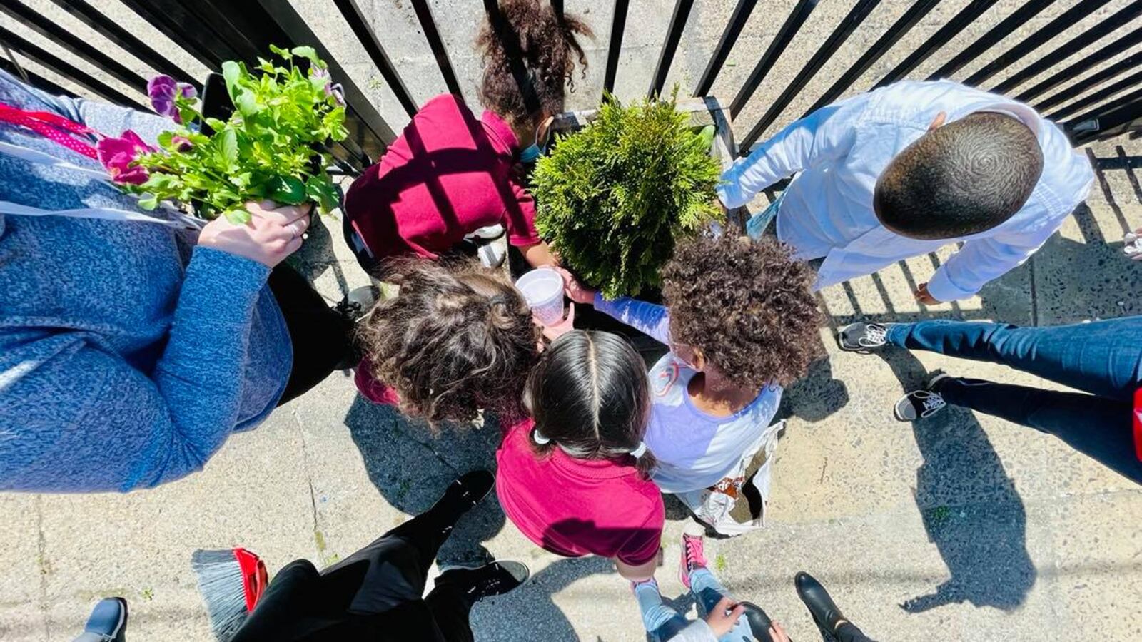 A group of students with colorful shirts hold lush green plants while standing on a sidewalk.