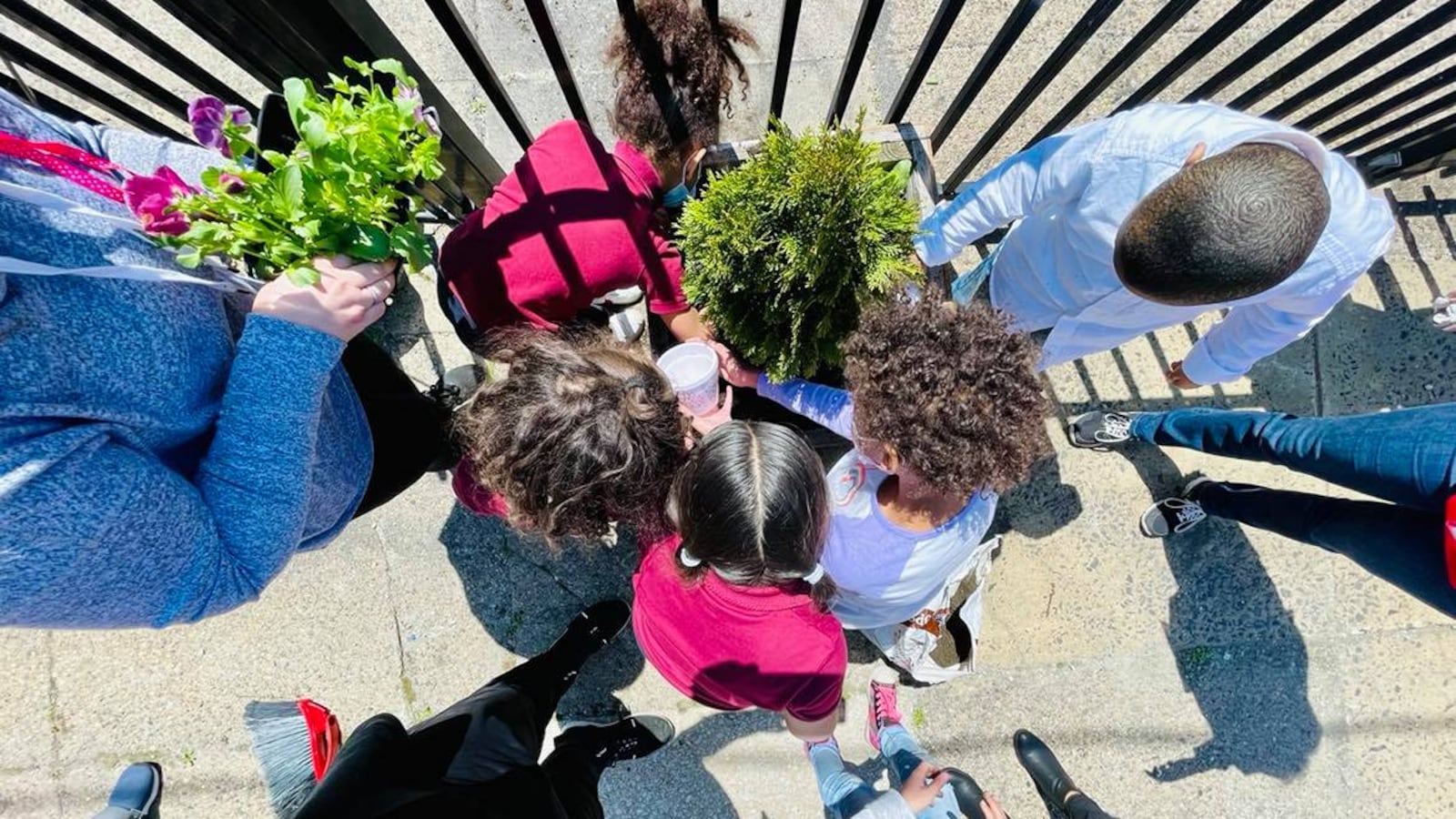 A group of students with colorful shirts hold lush green plants while standing on a sidewalk.