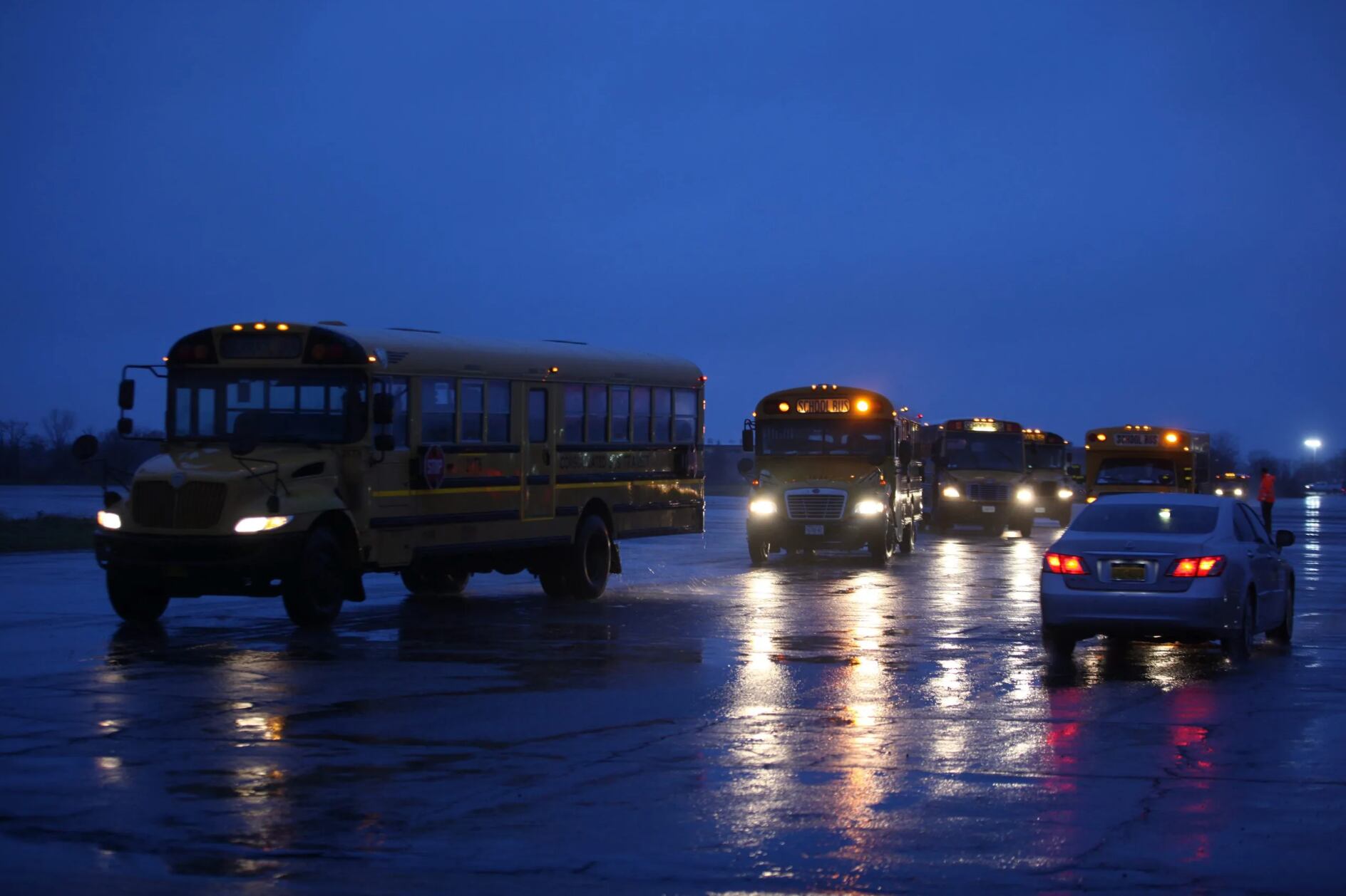 Yellow schools buses driving at night on a rain-slicked road.