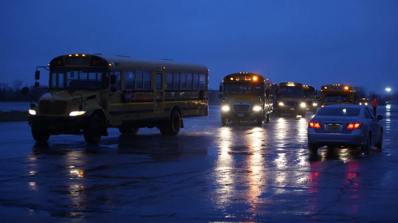 Yellow schools buses driving at night on a rain-slicked road.