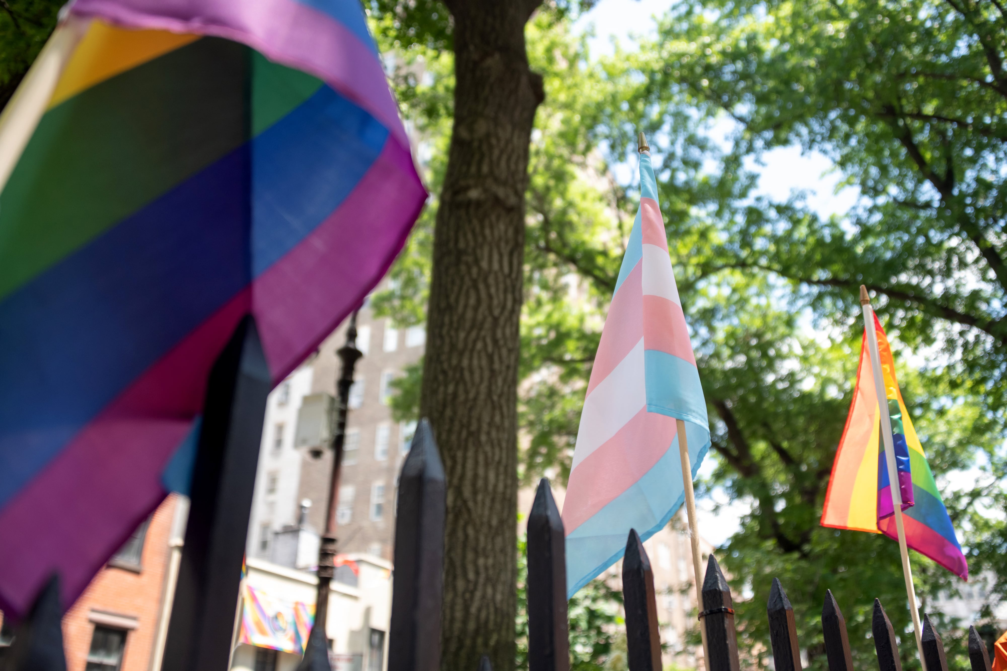 A blue, pink and white striped Transgender Pride flag hangs on a metal fence between two rainbow striped Pride flags.