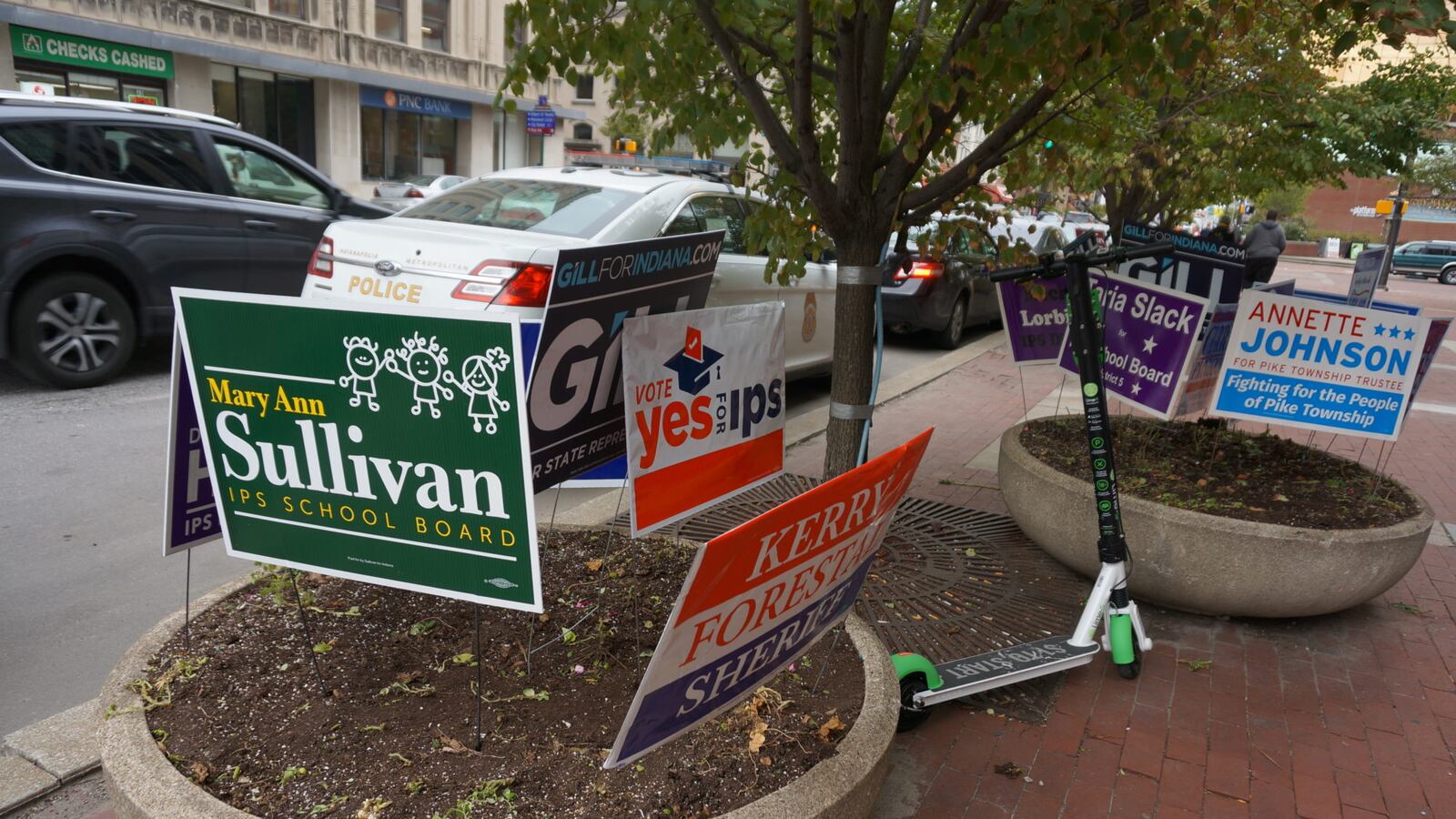 IPS board candidate signs