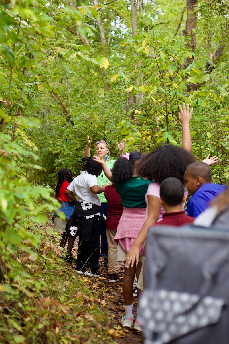 A photograph of a line of fourth grade students walking through a wooded area full of green trees.