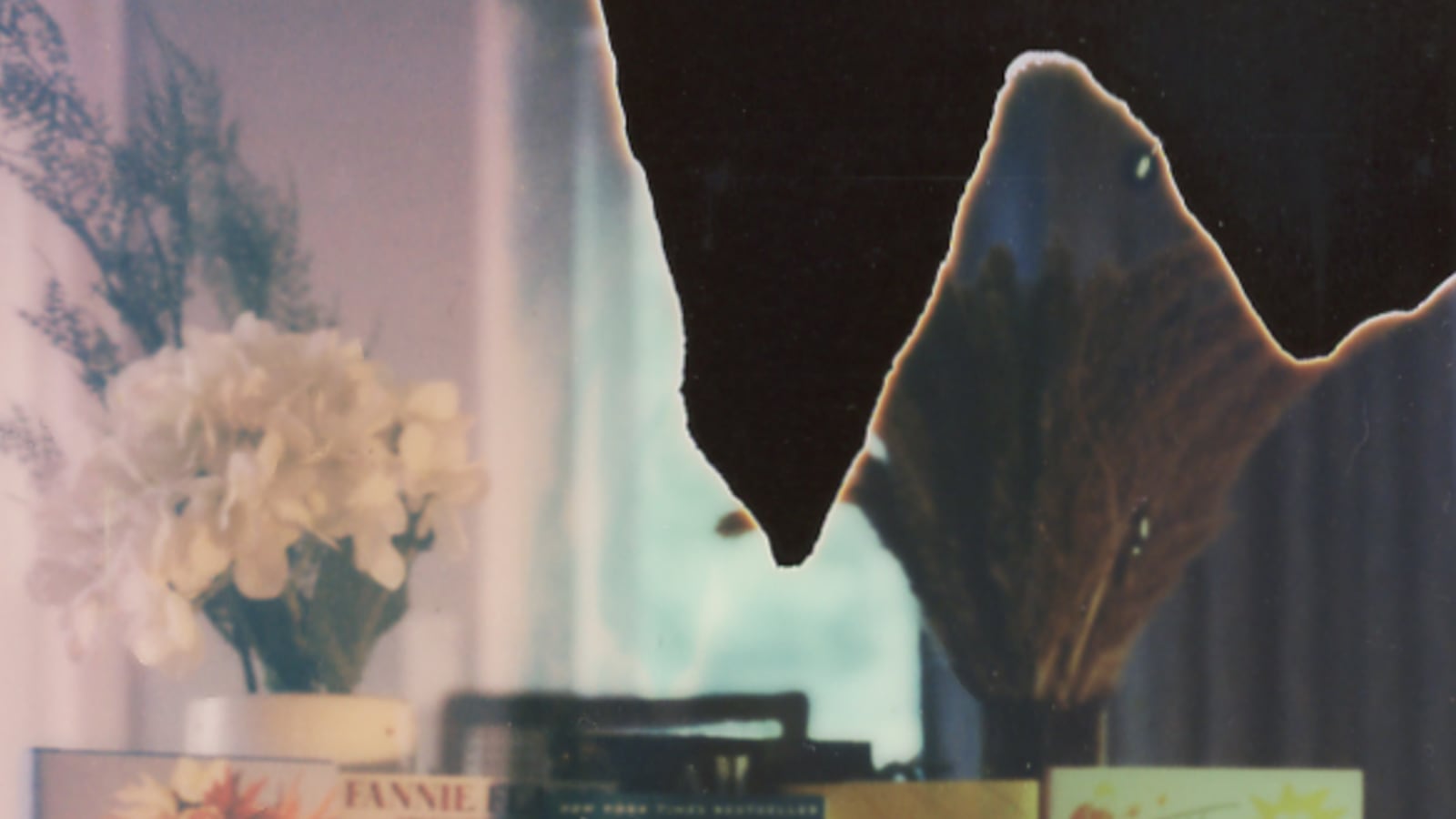 A group of six books is arranged side by side on a table, with two vases placed behind them.