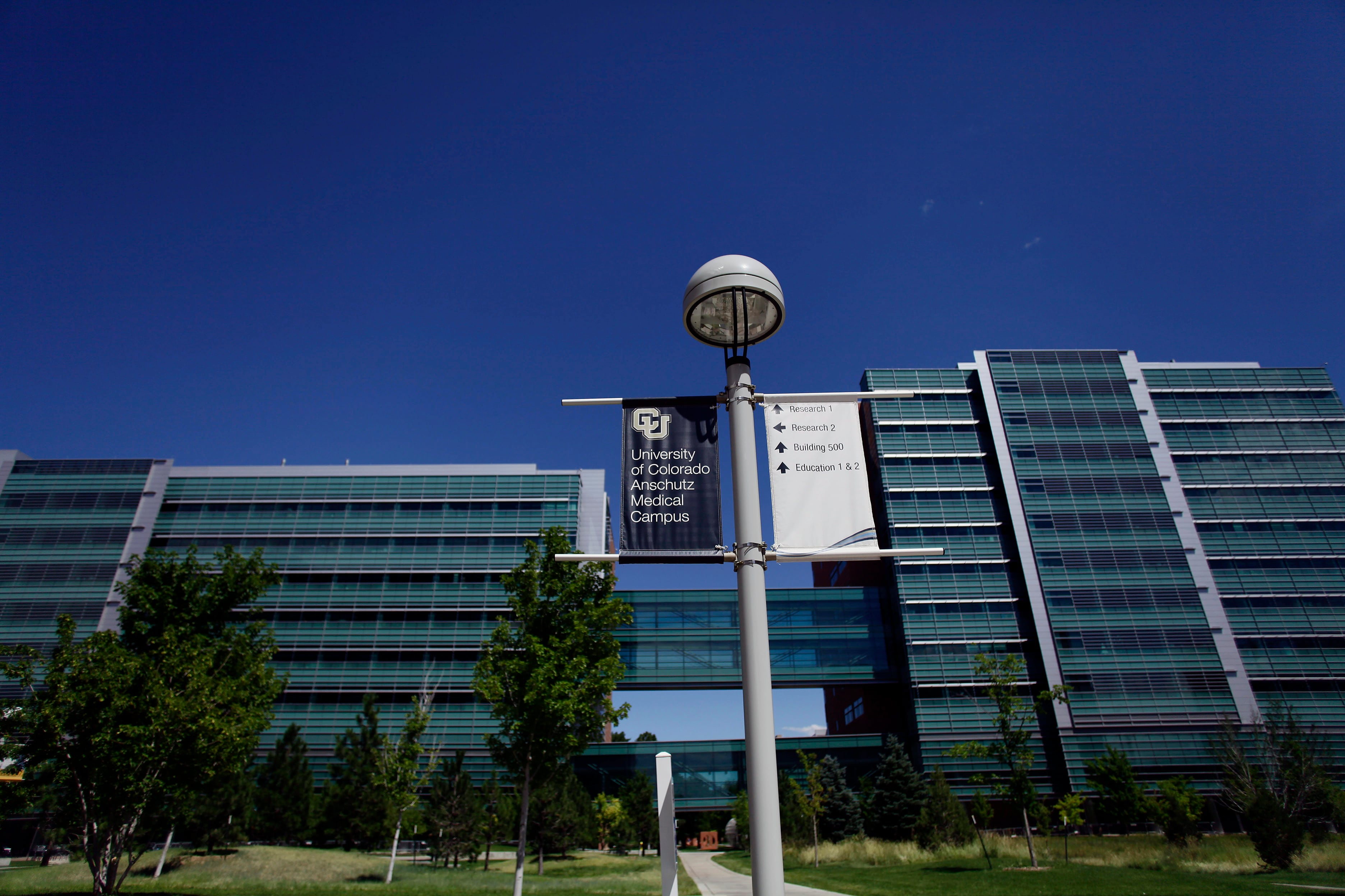 A large blue glass building with a light pole in the foreground and a blue sky in the background.