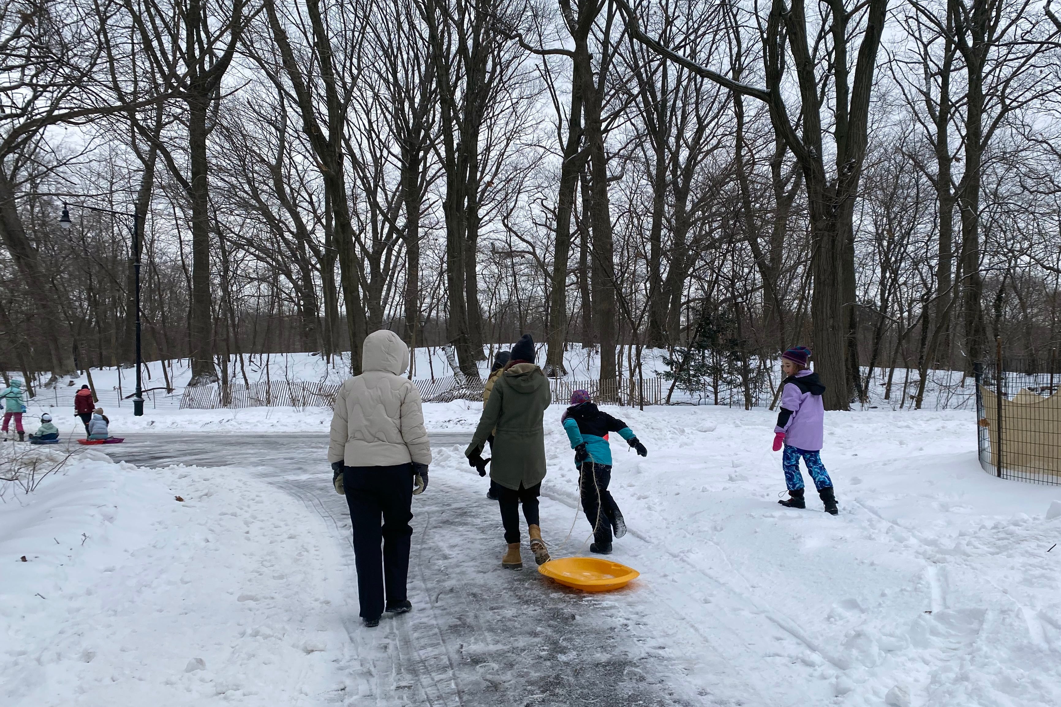 A photograph of adults and kids in winter coats go sledding on a wintery, snowy day.