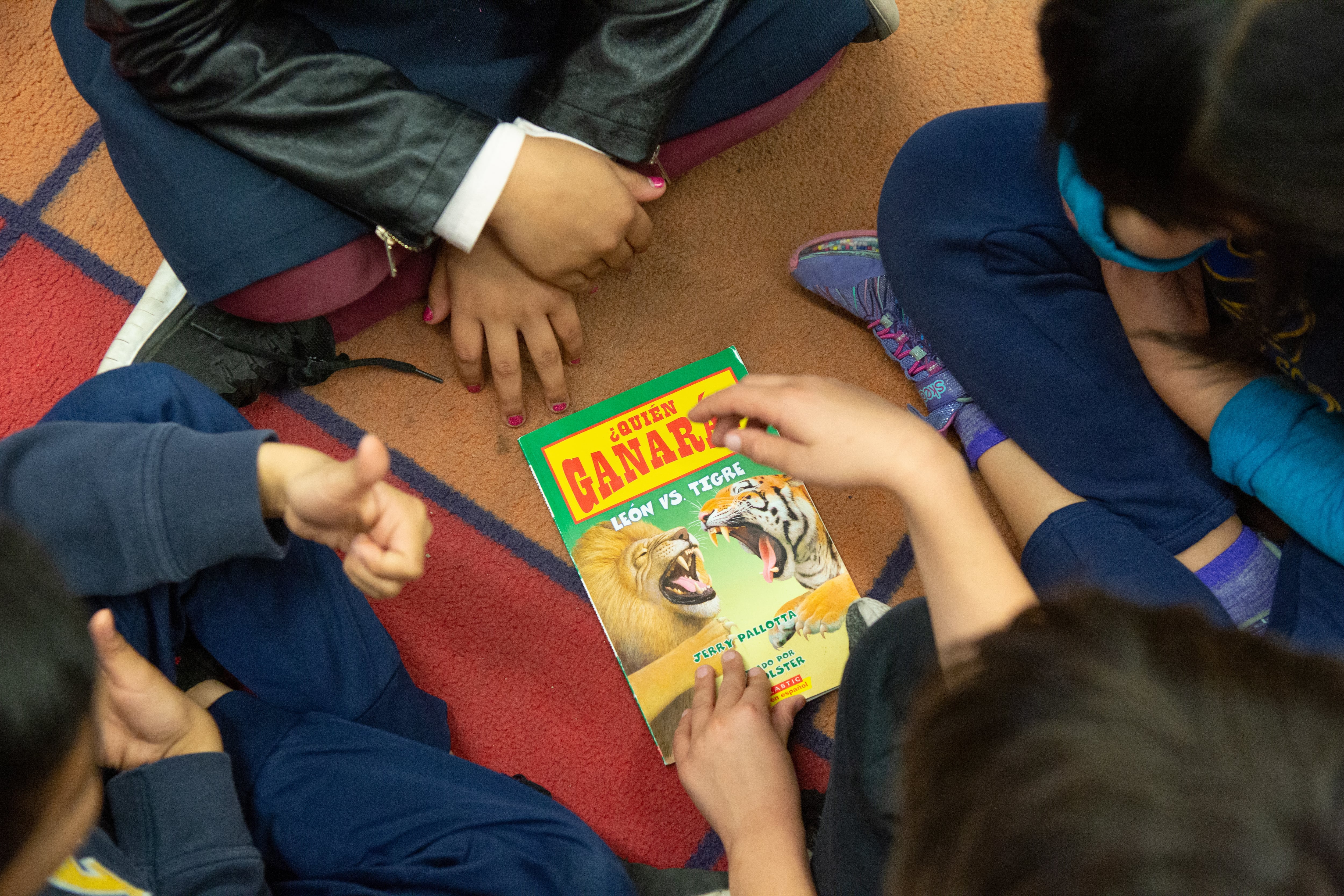 A view looking down at a group of four students sitting on the floor in a circle as one of the students holds a book titled, “Quién Ganará?” with a picture of a lion and tiger showing their teeth. Another student holds a thumbs-up pose.