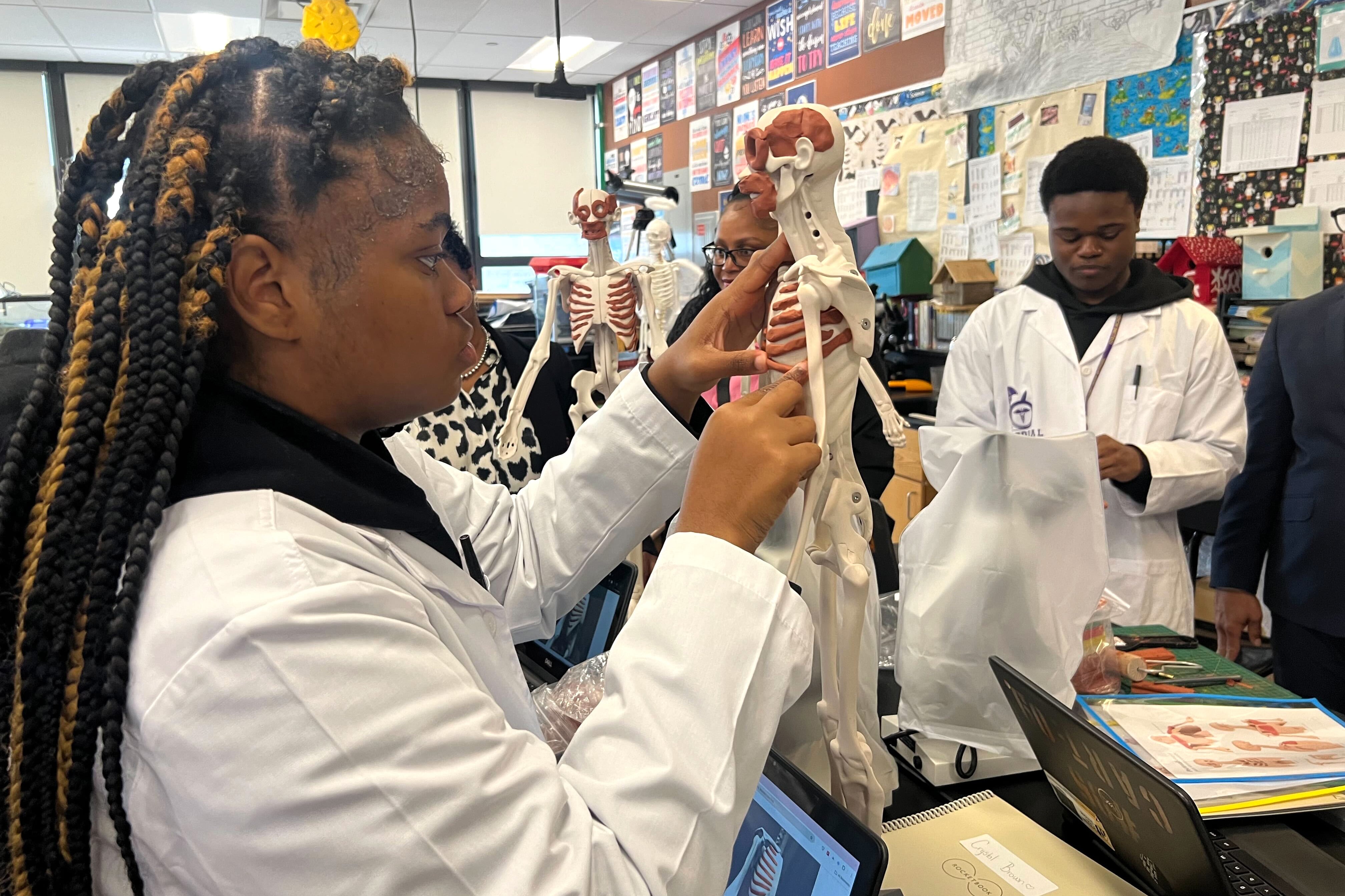 A female student with long, dark hair and wearing a white lab coat works on a replica of a skeleton.