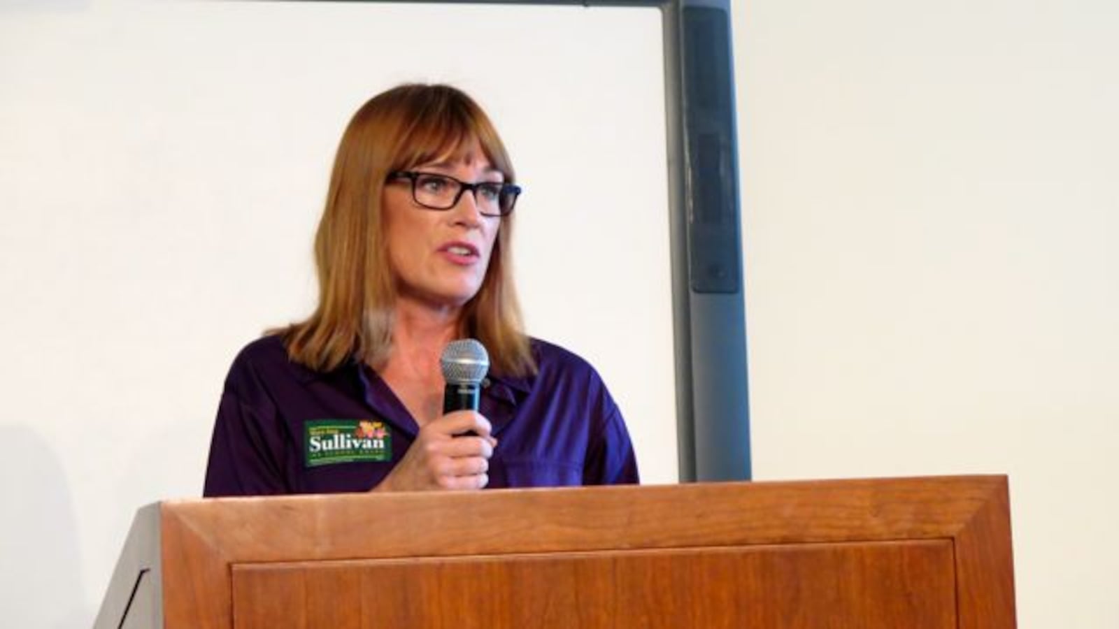 Mary Ann Sullivan, who was elected to the Indianapolis Public School Board in 2014, is expected to be named board president Friday.