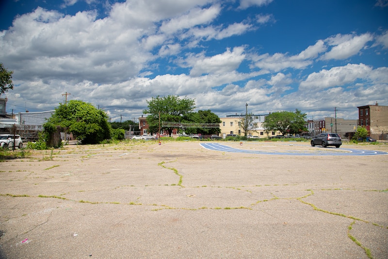 A photograph of an empty, overgrown parking lot on a sunny day.
