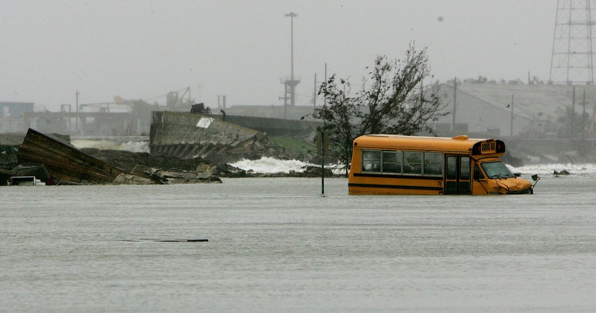 ‘My school still stands’: New Orleans educators say what they lost and found 20 years after Katrina