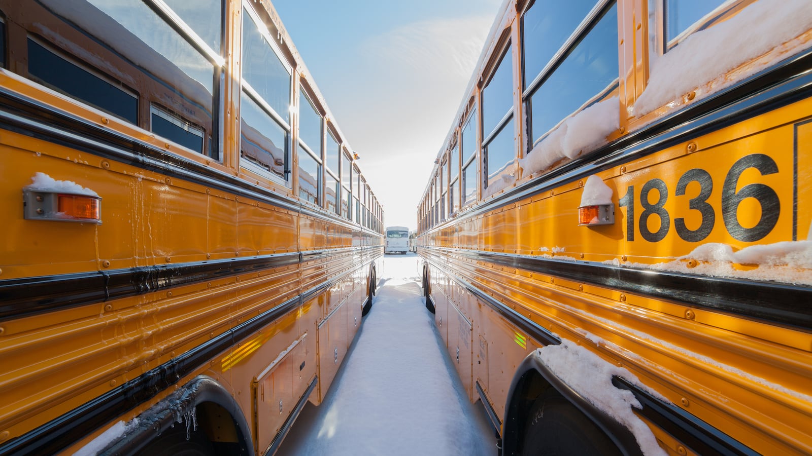 School buses in a school bus yard in winter with snow.