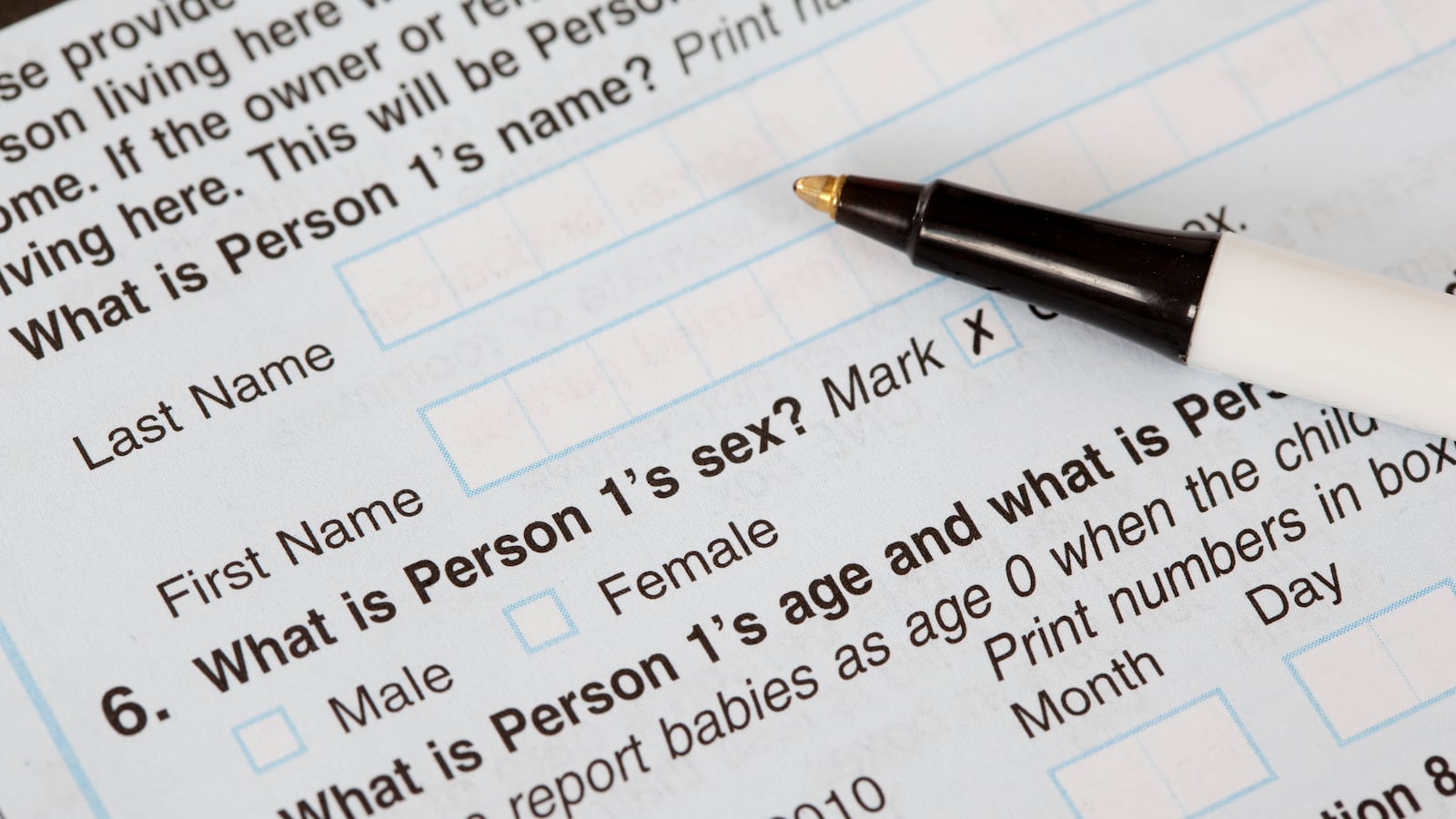 Photograph of a U.S. Census form and a ballpoint pen.