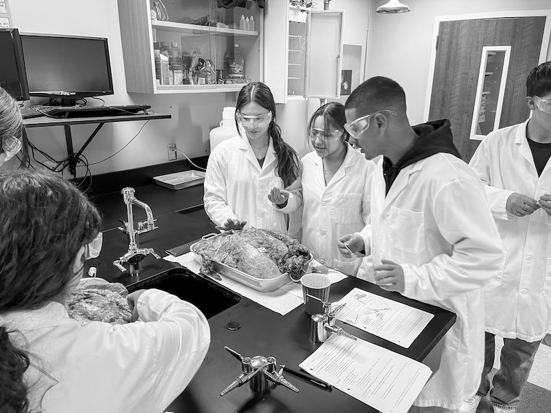 Students in protective eye gear and lab coats work together.