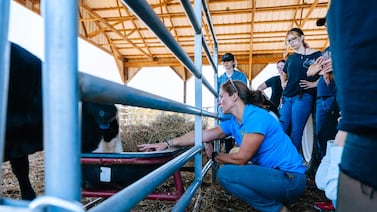 This Tennessee teacher helped build a school farm to connect students with sustainability and a new skillset