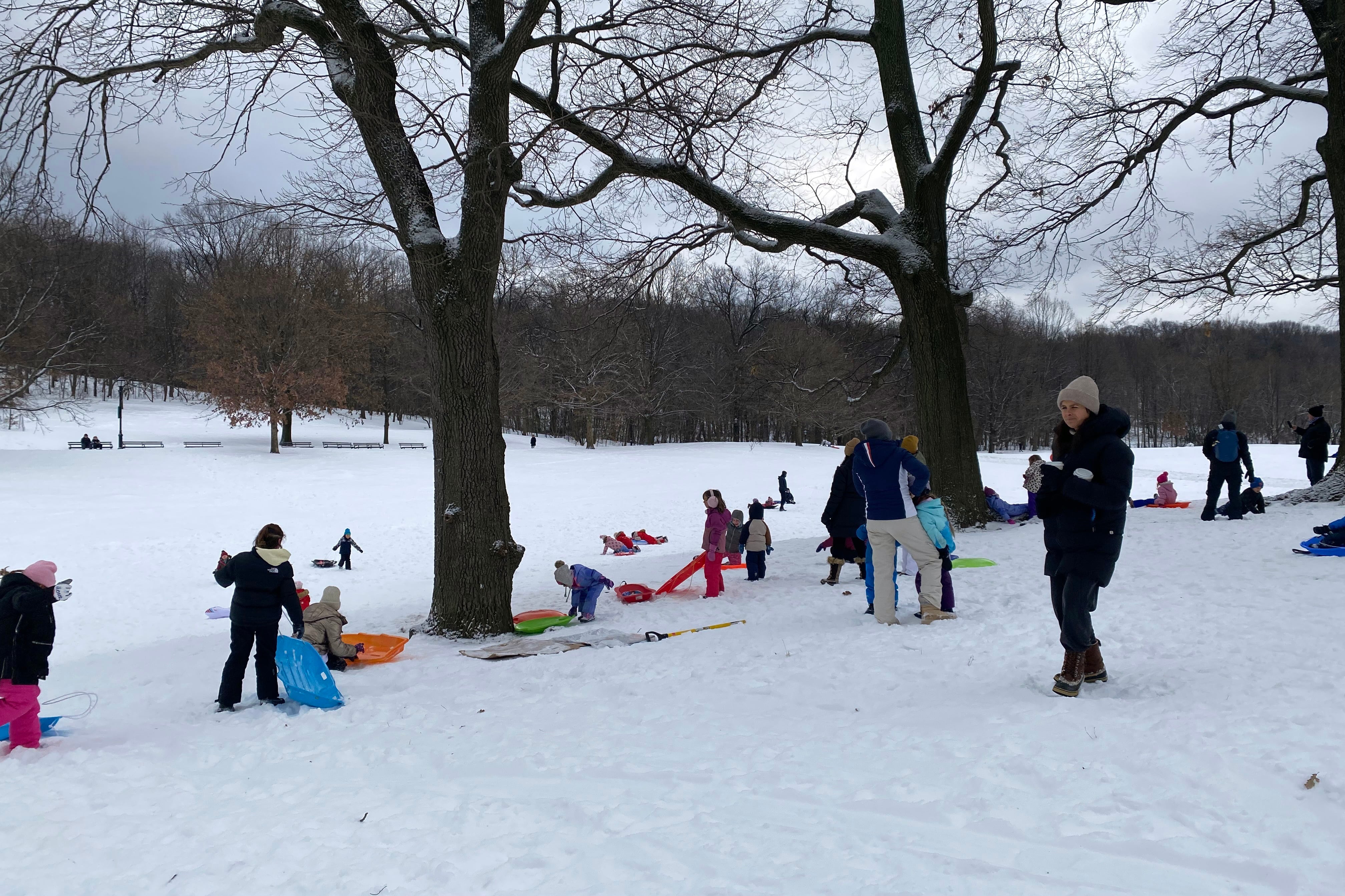 A photograph of adults and kids in winter coats go sledding on a wintery, snowy day.