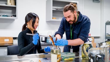 NYC high school sleuths search fish guts for clues to plastics pollution