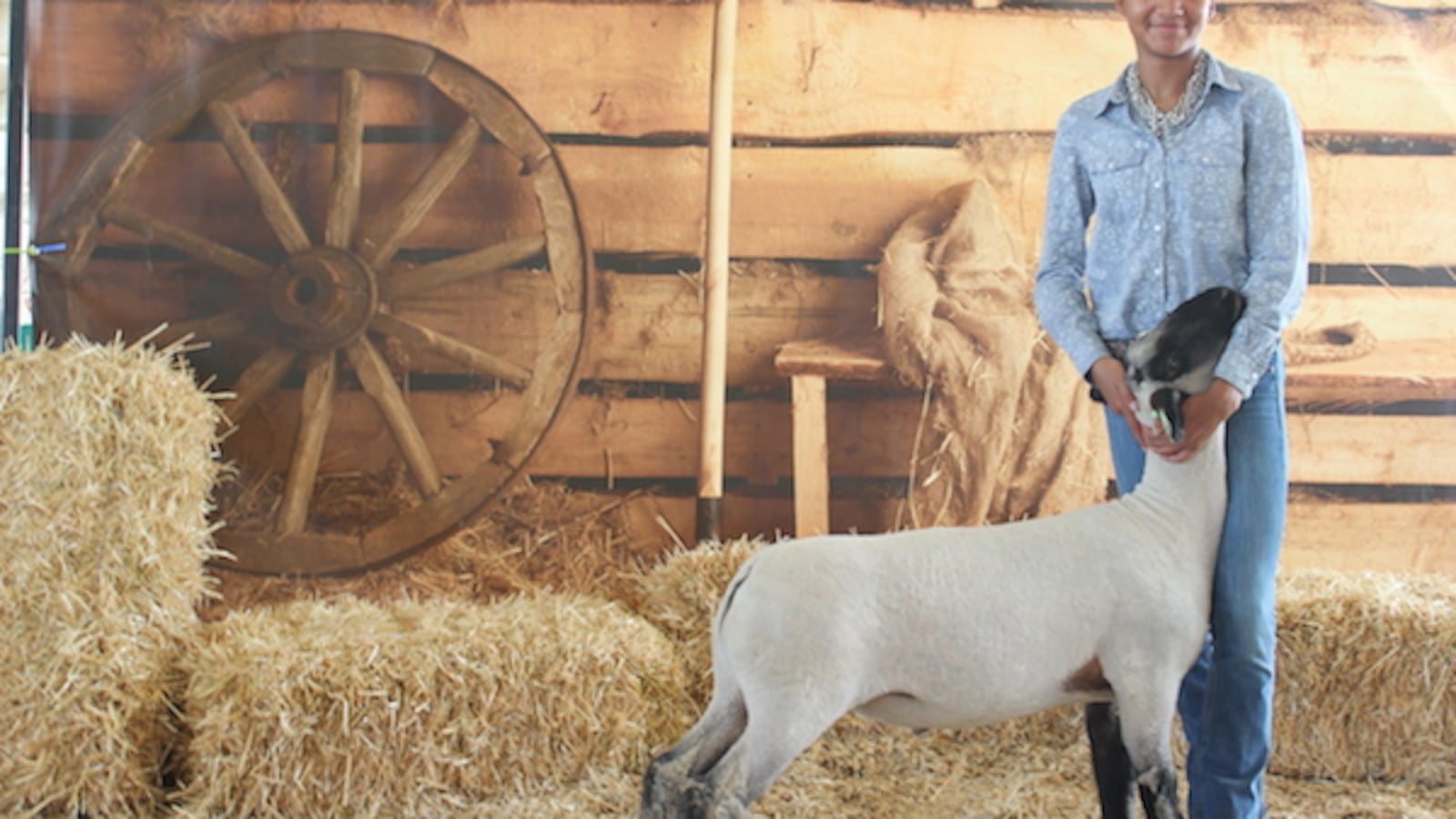 Zaria Schaffer, a sophomore at Denver Online High School, poses with her lamb Leroy.
