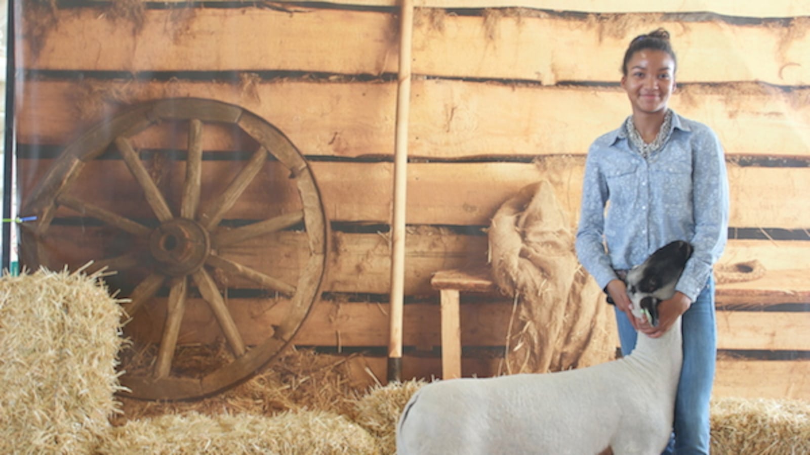 Zaria Schaffer, a sophomore at Denver Online High School, poses with her lamb Leroy.