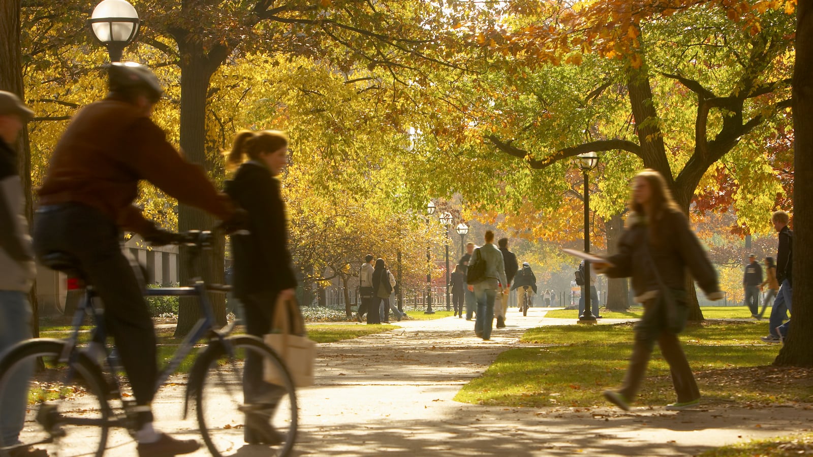Students walk on a college campus in the fall.
