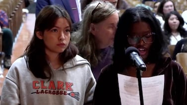 Where are the students? Despite a state law, few NYC local education councils have youth members