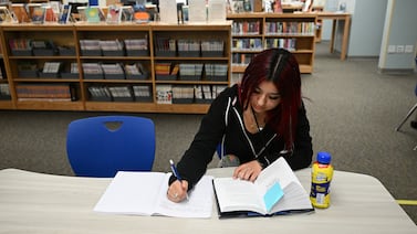 Sheridan makes strides in growing a high school library in last few years