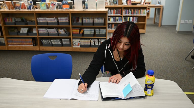 Sheridan makes strides in growing a high school library in last few years