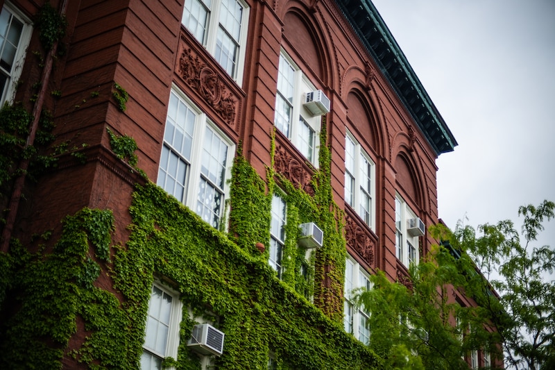 A vine covered, red brick school building.