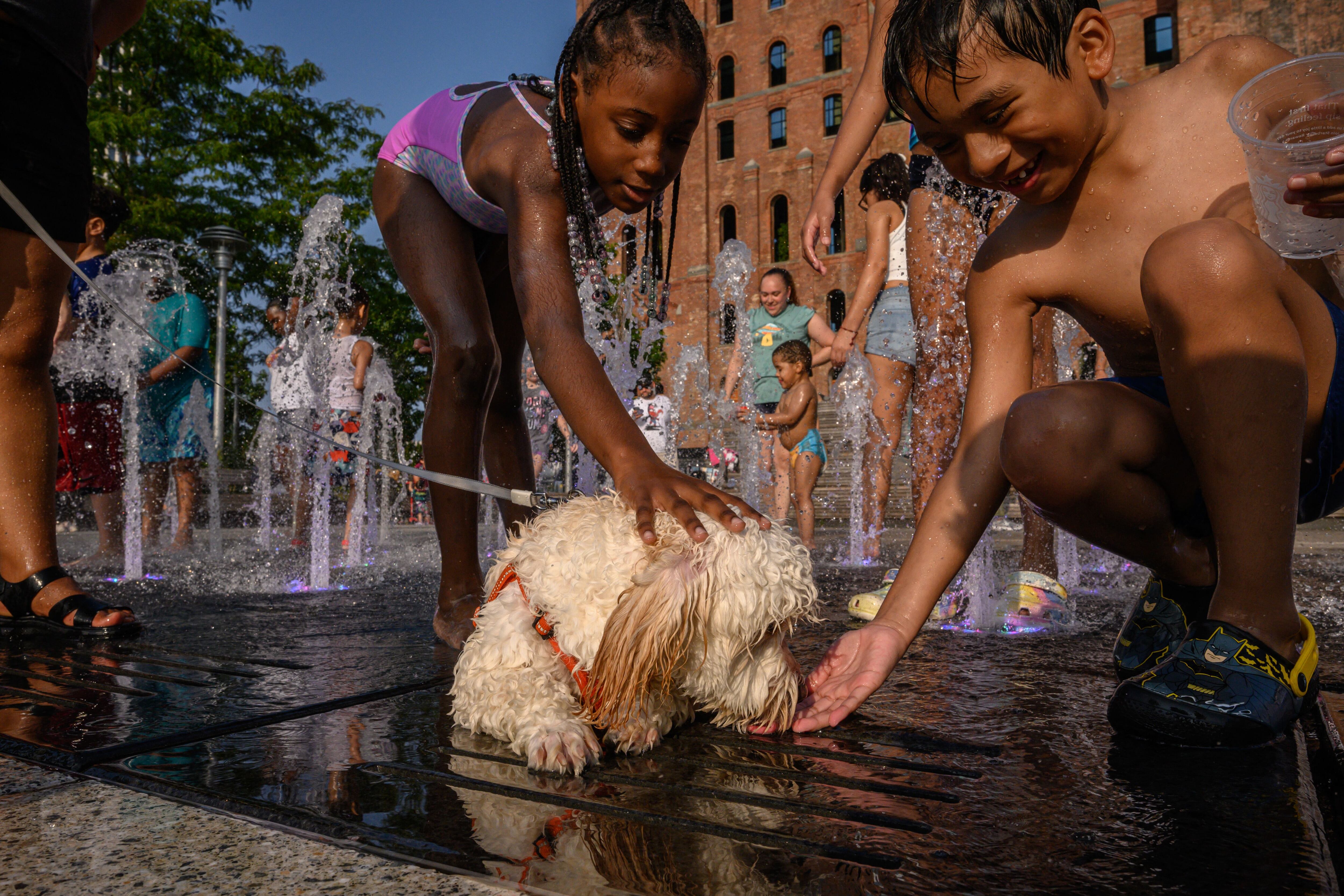 Two children in bathing suits pet a dog in a fountain during a heat wave.