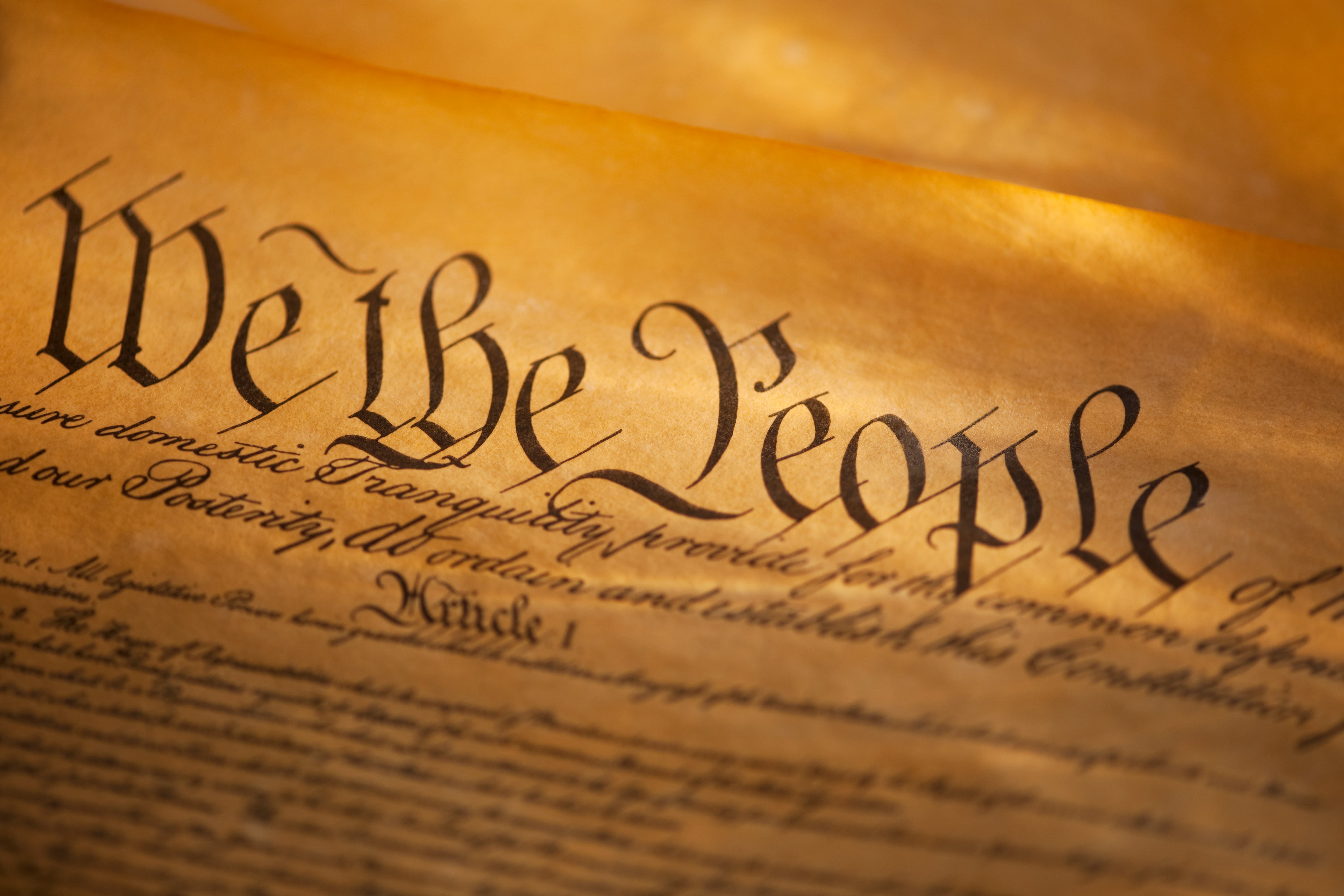 A portion of the Constitution