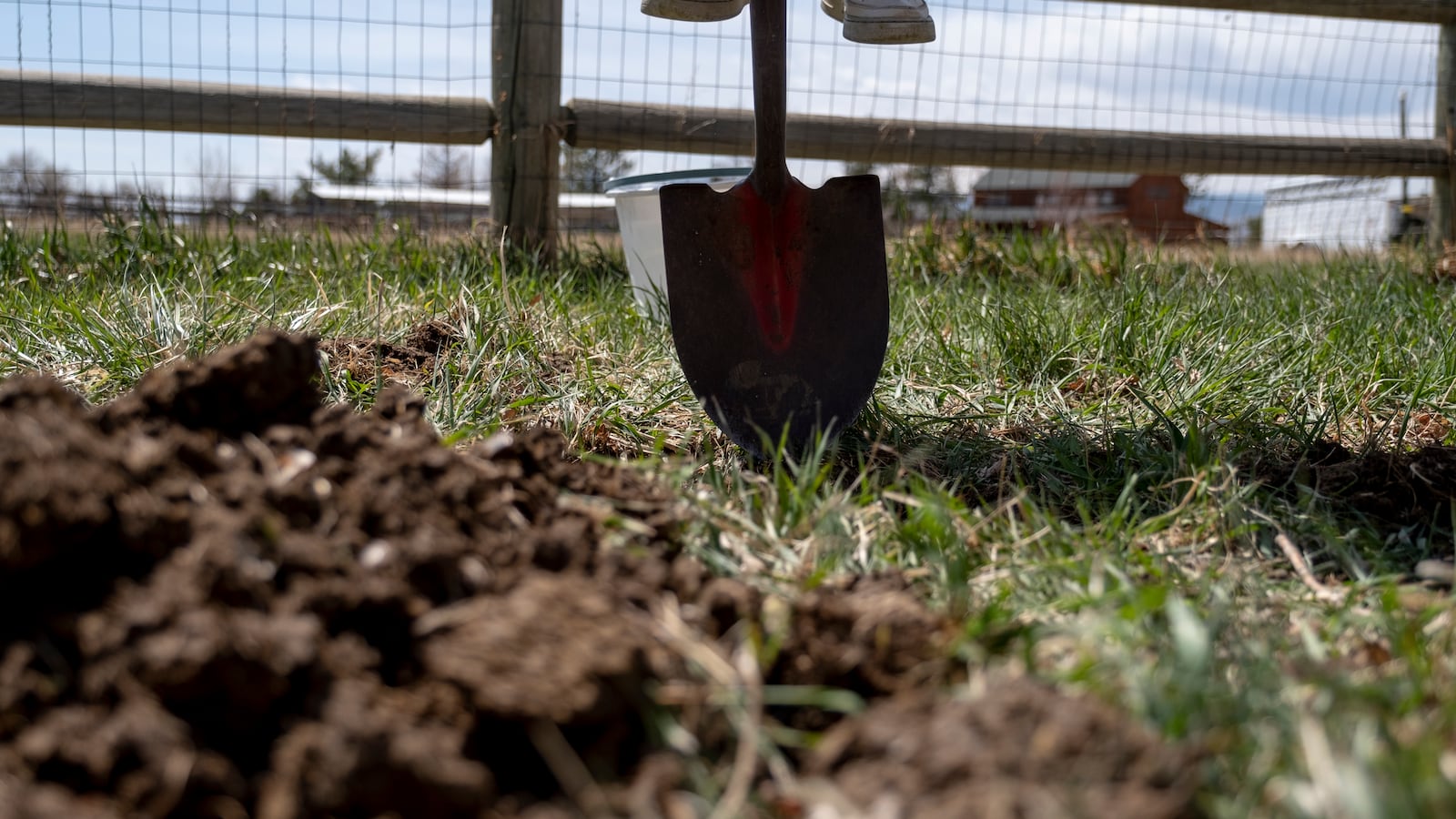 A pair of feet prepare to land on a shovel as the teenager works to dig a hole.