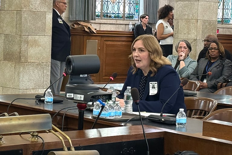 New Jersey senators advance nomination of Lily Laux to serve as education commissioner