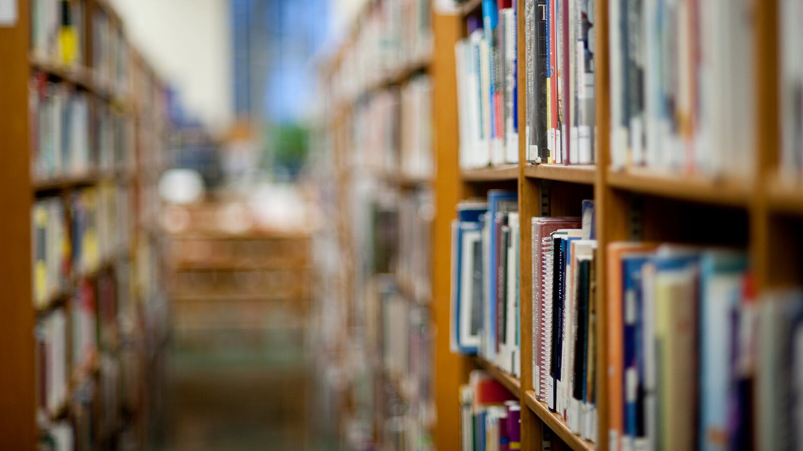library bookshelves filled with books