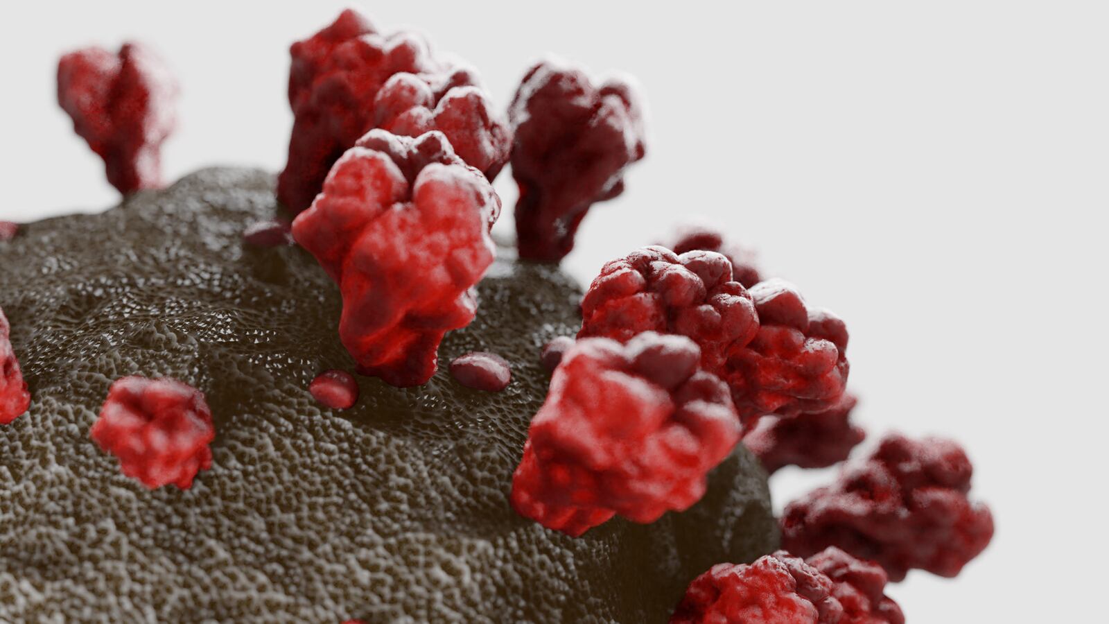 3D art based on microscope images of the coronavirus from the 2020 outbreak in Wuhan, China
