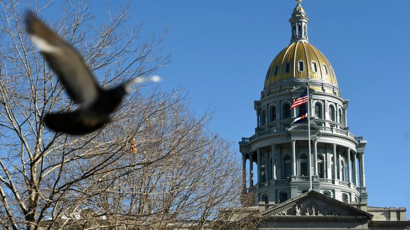 On the right, the dome of the Colorado State Capitol rises above a leafless tree and a pigeon taking flight.