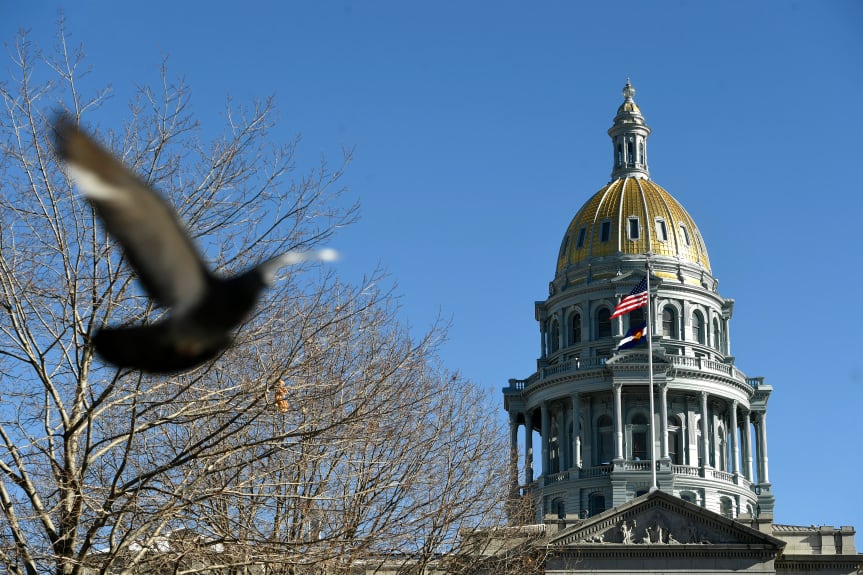 On the right, the dome of the Colorado State Capitol rises above a leafless tree and a pigeon taking flight.
