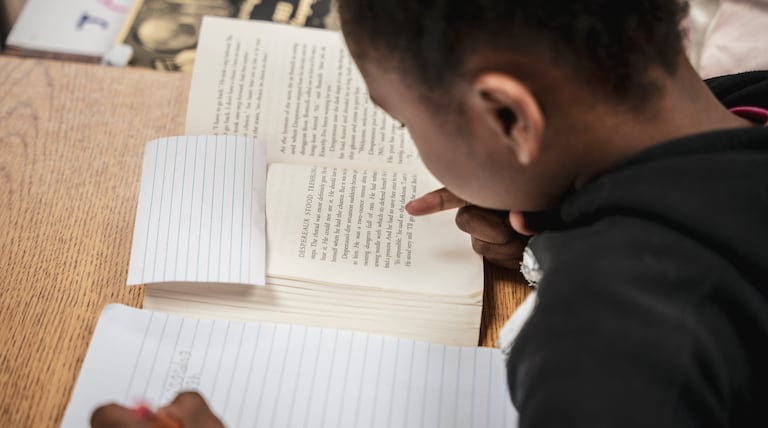 Blizzard of state test scores shows some progress in math, divergence in reading
