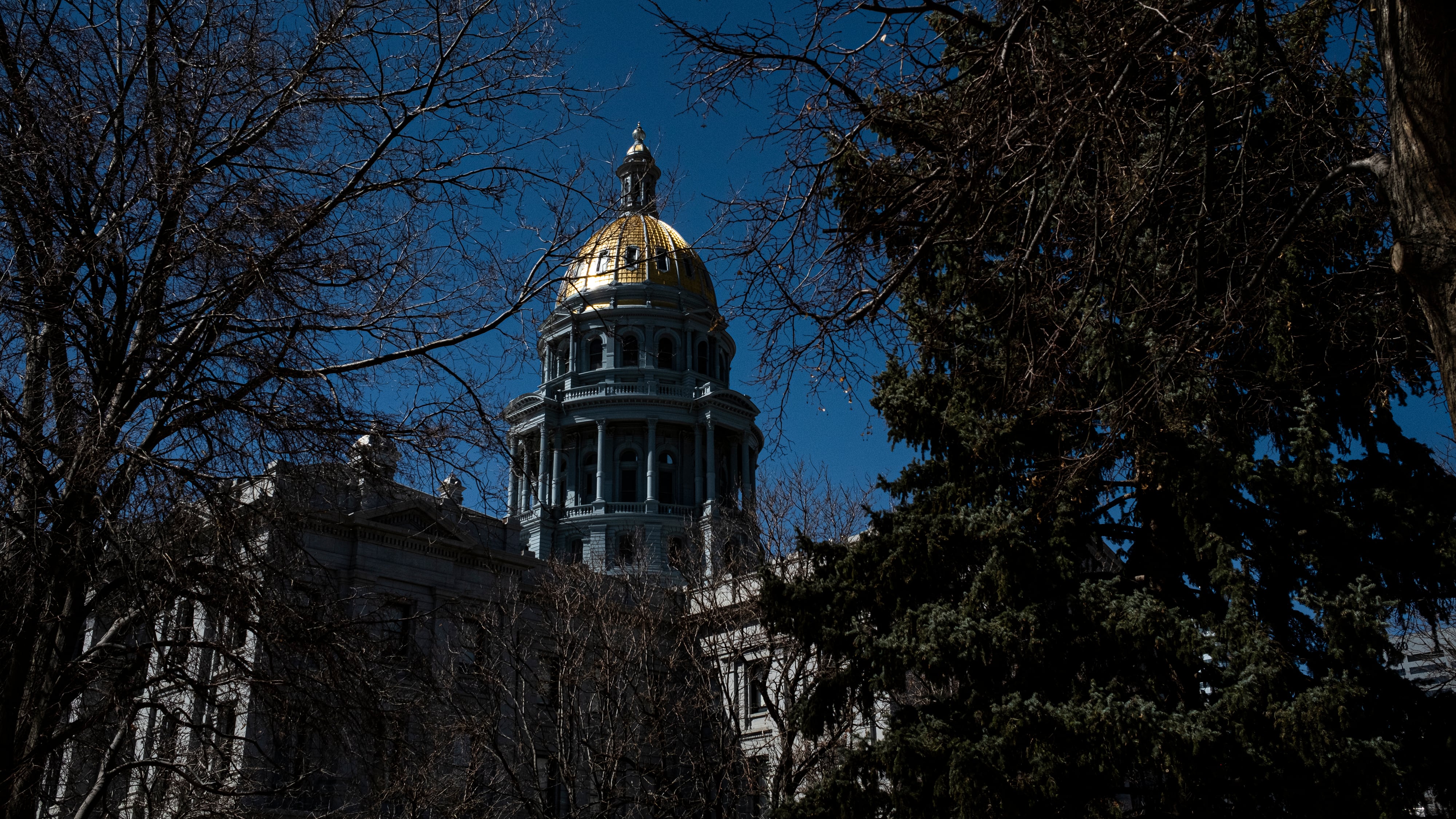 The Colorado State Capitol against a blue sky with trees in the foreground.