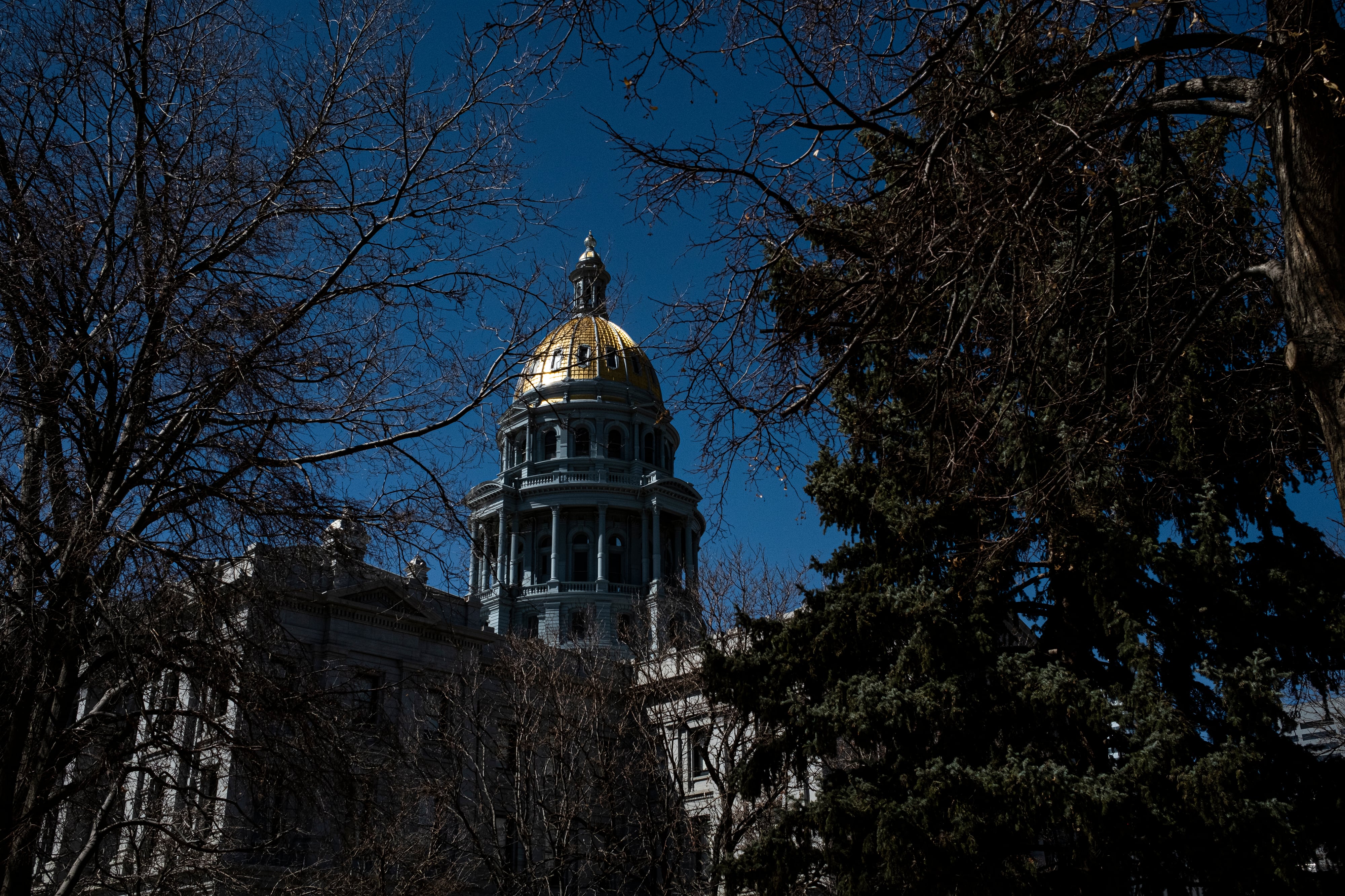 The Colorado State Capitol against a blue sky with trees in the foreground.