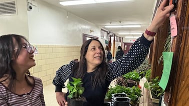 A 500-plant wall, a 400-gallon aquaponic system: This Brooklyn teacher creates ‘living laboratories’