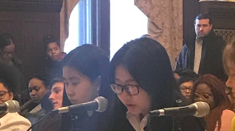 Students tell Council they want mental health and English language supports