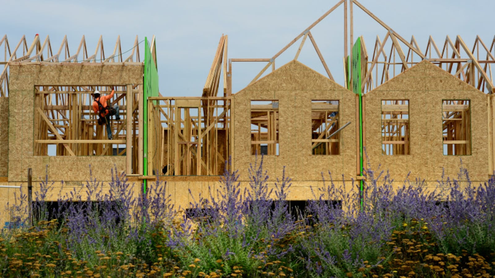 Workmen frame the walls in  new affordable housing units in Stapleton in August 2018.