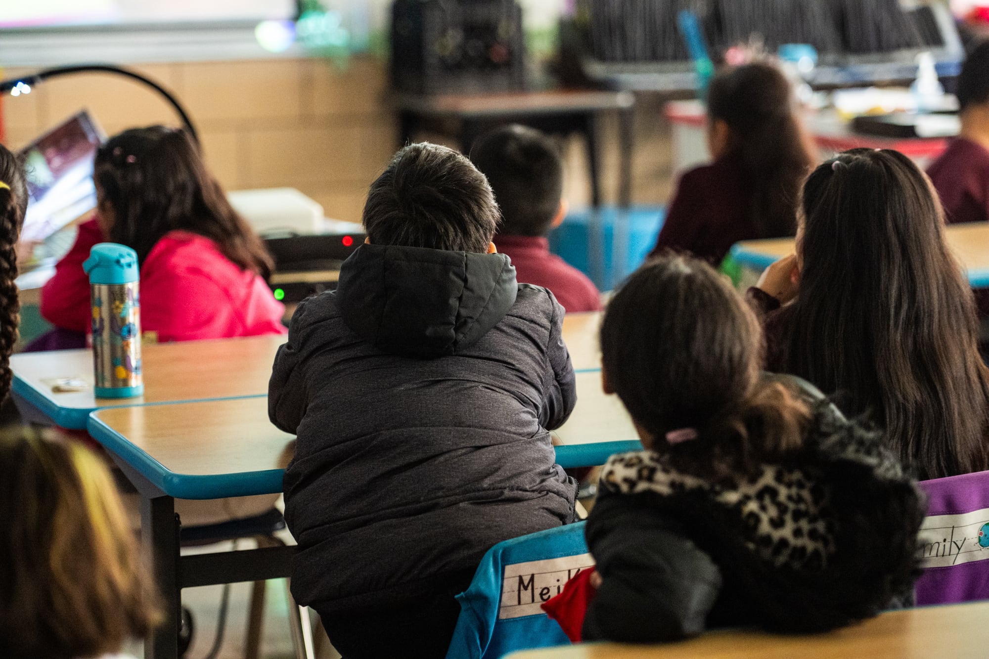 The backs of young students while they sit at wooden desks in a classroom.