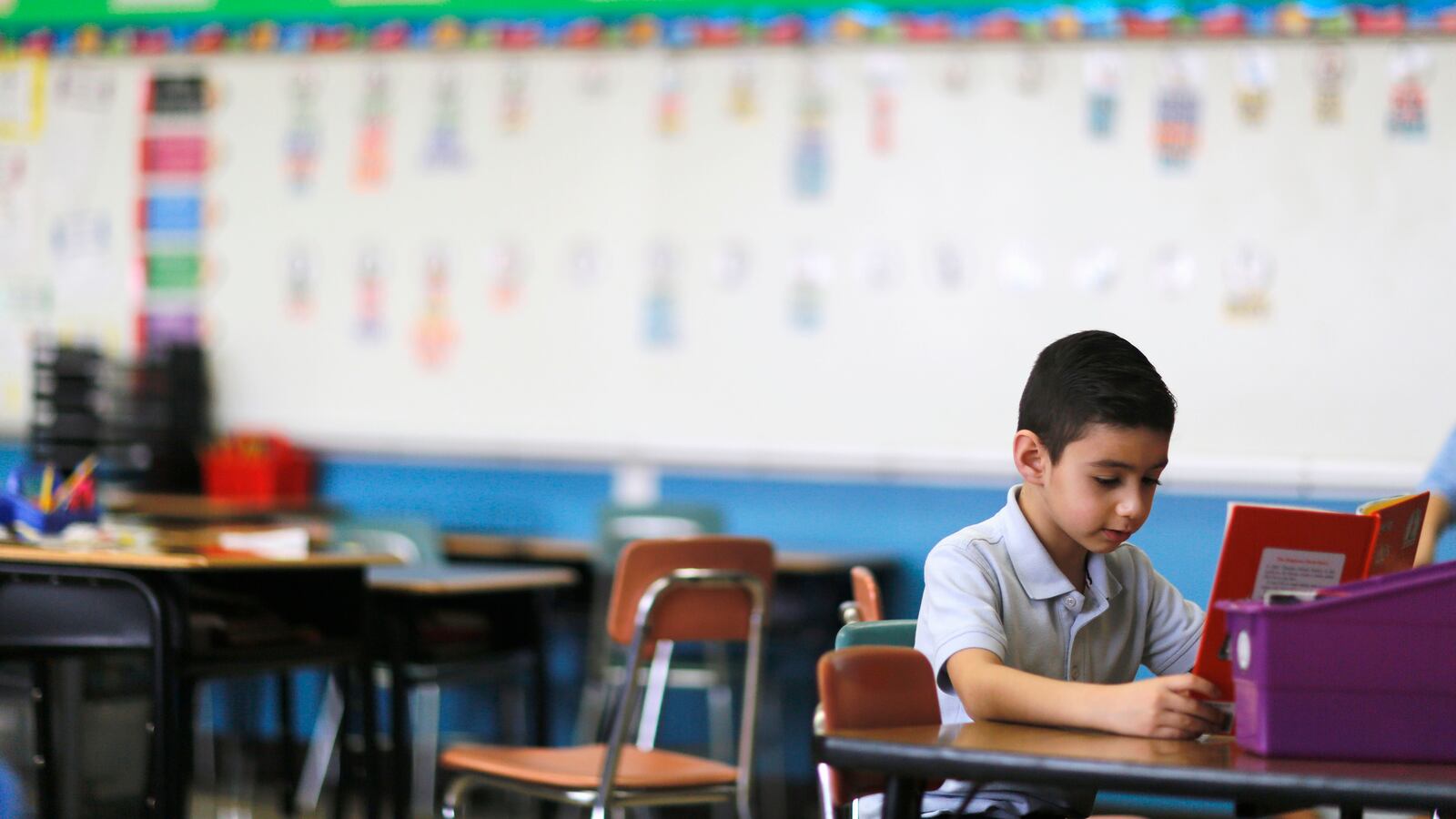 Boy in a light blue polo shirt reads a book at a desk in school.