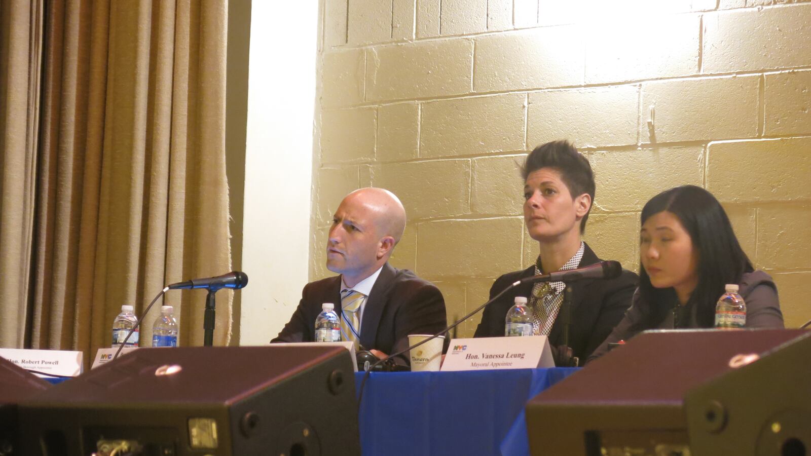 From left, mayoral appointees Ben Shuldiner, Lori Podvesker and Vanessa Leung at a Panel for Educational Policy meeting in April. All three voted in favor of all of the city's colocation proposals this week.