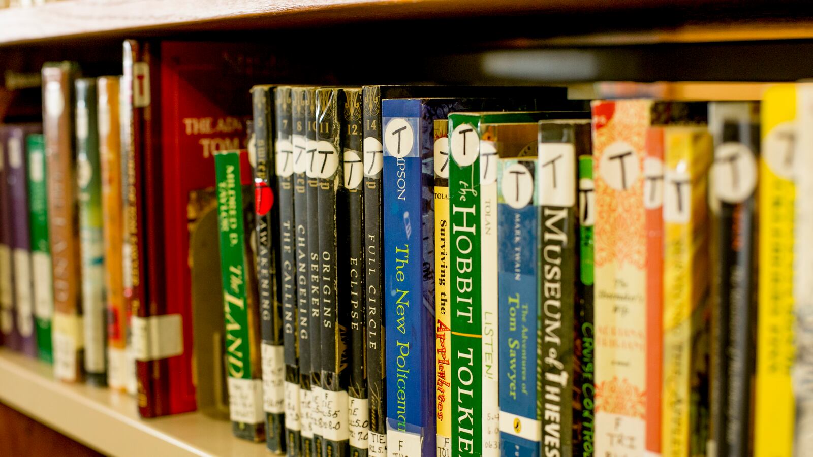 Library books at Earhart Elementary-Middle School in southwest Detroit.