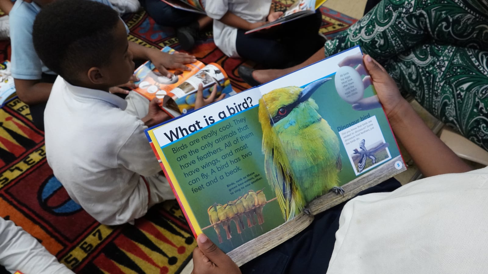 A close-up of a student reading a book during a reading circle. The book is open to a picture of a yellow bird. The words “What is a bird?” are in bold type on top of the page.