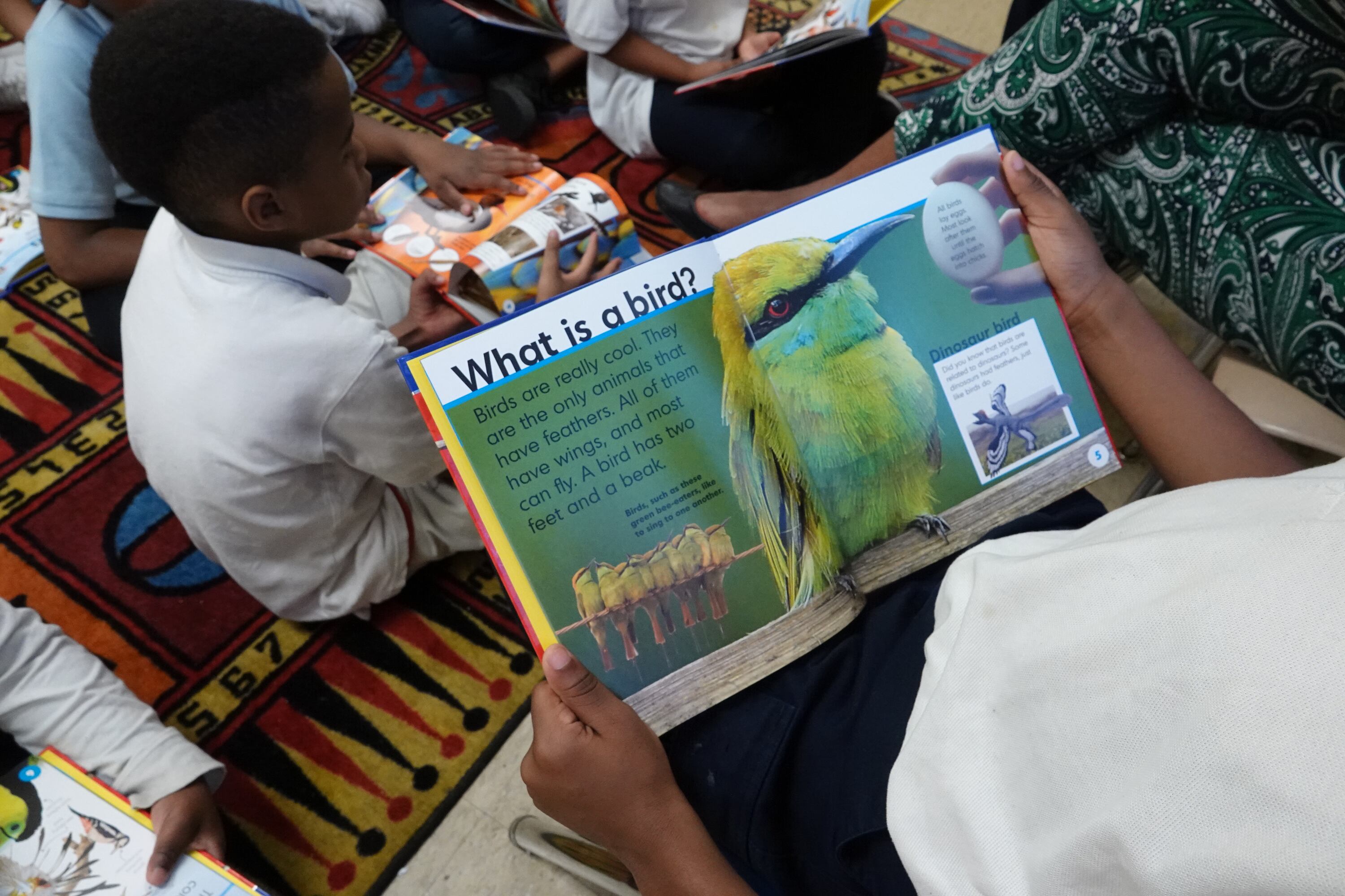 A close-up of a student reading a book during a reading circle. The book is open to a picture of a yellow bird. The words “What is a bird?” are in bold type on top of the page.