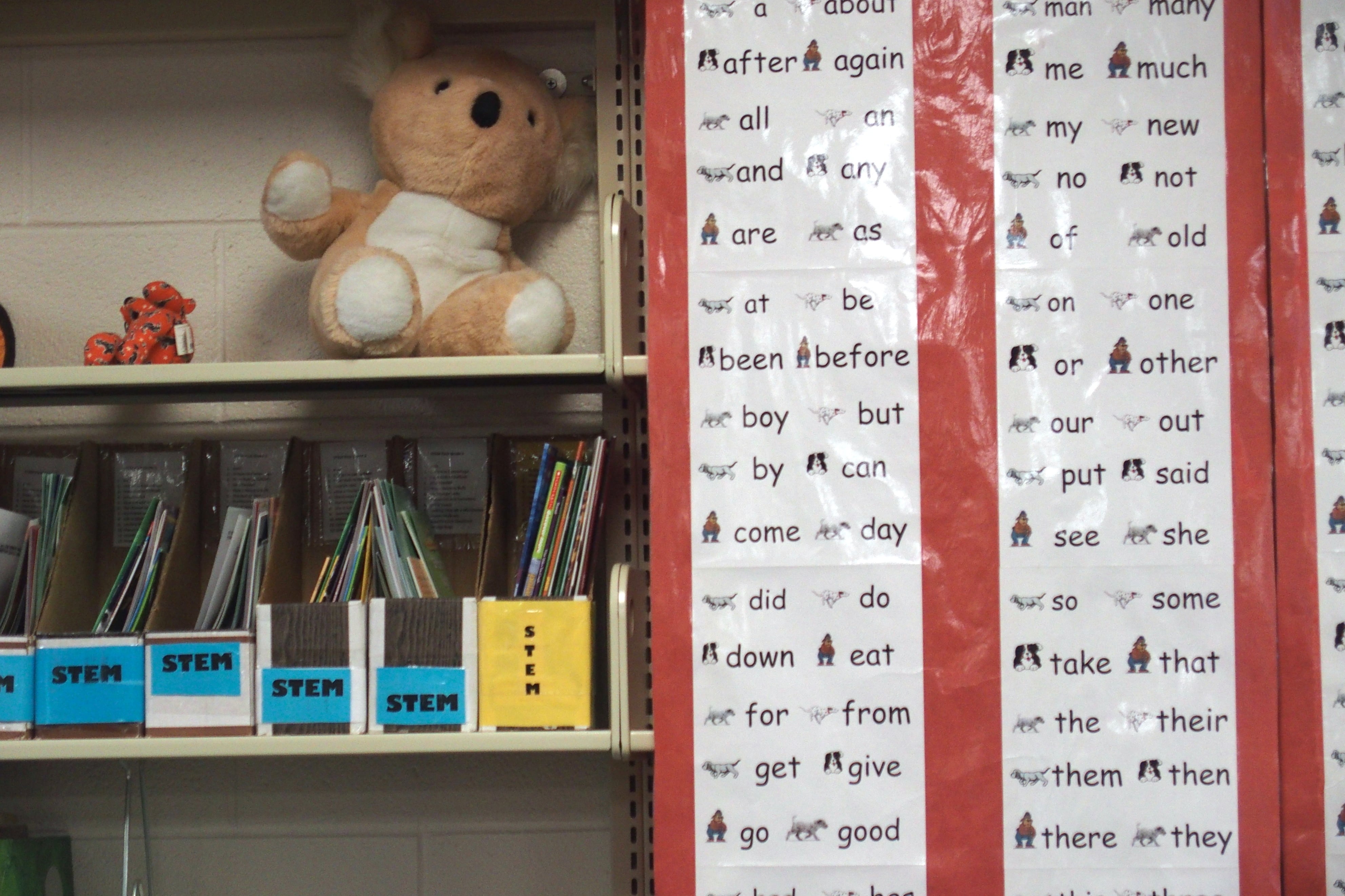 Word chart in a school library. The shelf also has science resources and a stuffed koala bear